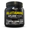 GLUTAMINE XPLODE POWDER, 500 QR
